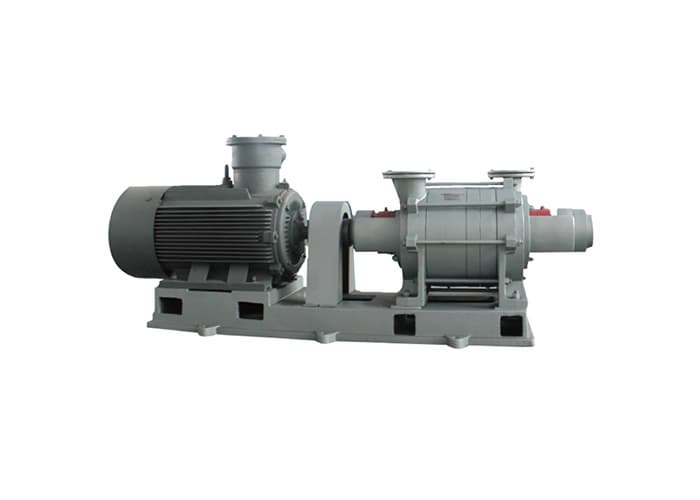 SY_2SY Water ring compressors
